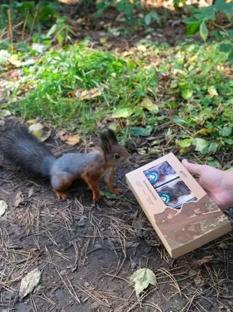 Подарочный набор мармелада «Три медведя» 3 шт Подарочный набор мармелада «Три медведя» 3 шт