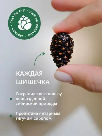 Цукаты из сосновых шишек на шпажке 25 гр Цукаты из сосновых шишек на шпажке 25 гр